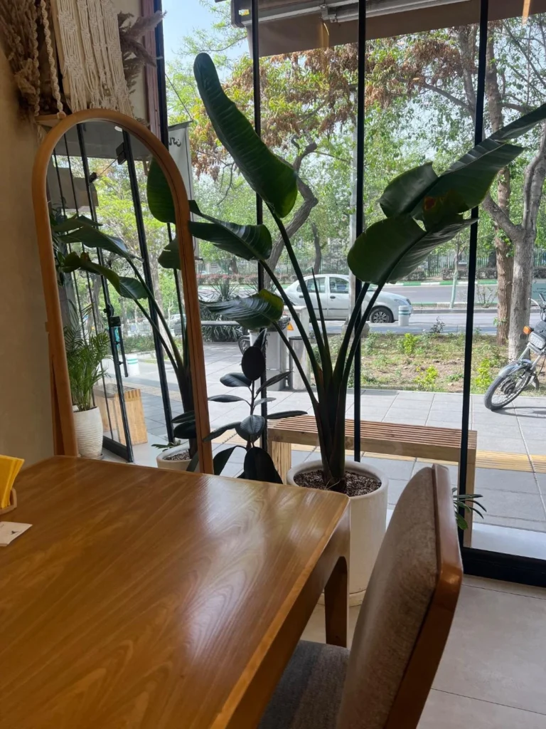 کافی‌شاپ عربیکا مشهد